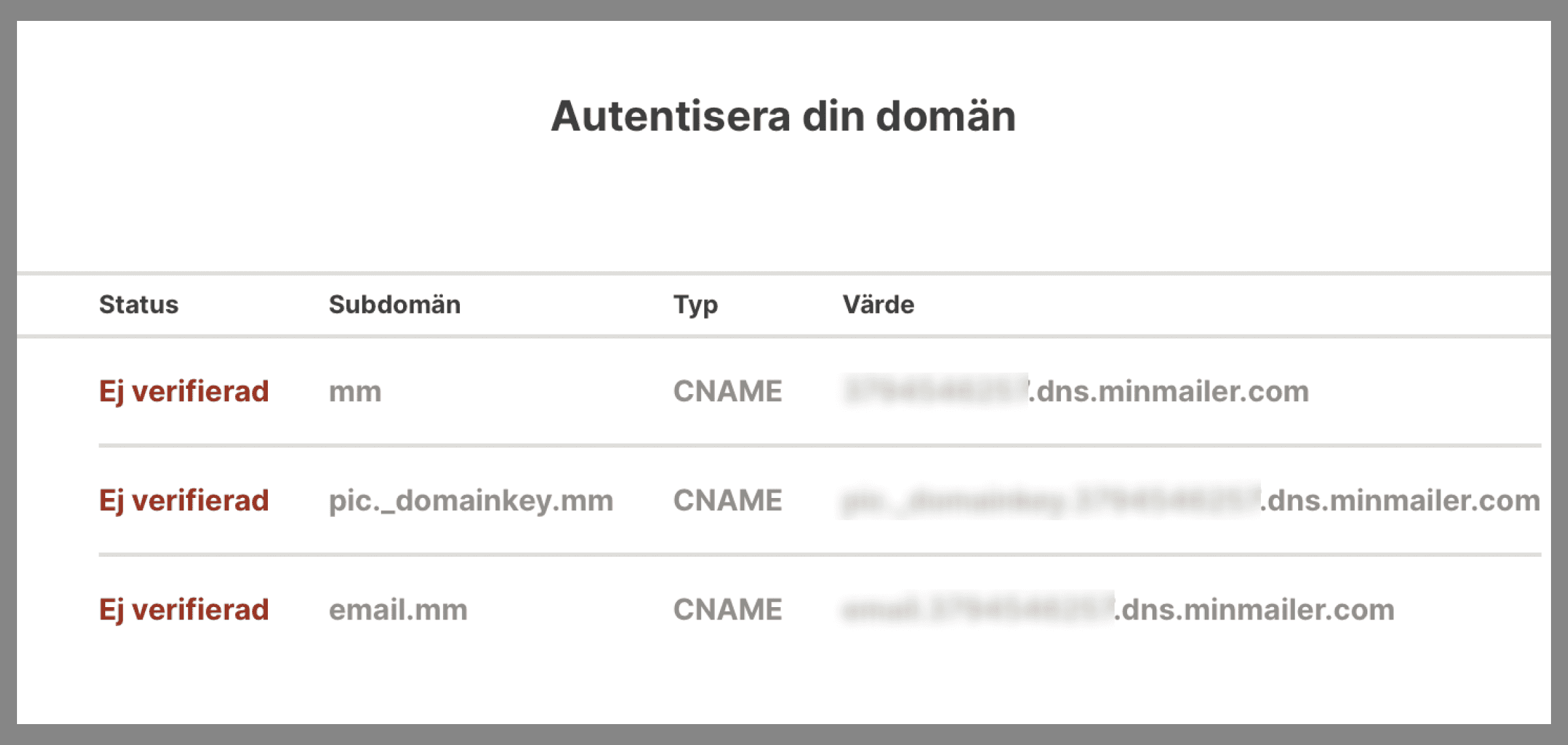 Dina DNS inställningar på Minutemailer